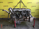 Двигатель (ДВС) D2066 LF03 350 лс