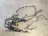 Жгут проводов ДВС 7421545827