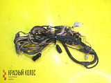 Жгут проводов правой двери 81254556222
