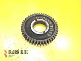 Шестерня ГРМ промежуточная 51113063010
