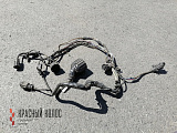 Жгут проводов переднего освещения левый 20456342