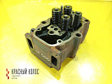 Головка блока цилиндров (ГБЦ) 1909203
