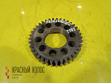 Шестерня коленвала со стороны маховика 51021156082