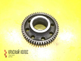 Шестерня ГРМ промежуточная 1209327
